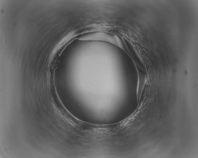 X0000067910150200604131352