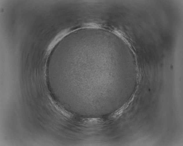 X0000067910151200604131352