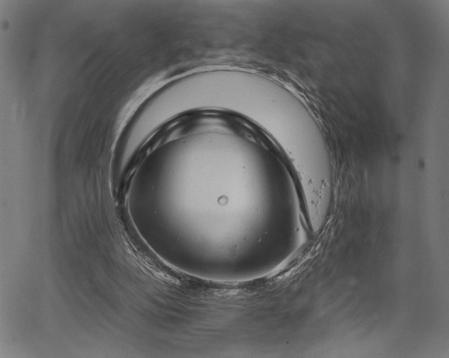 X0000067910152200604131352