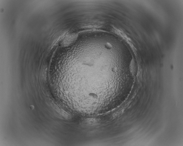 X0000067910153200604131352