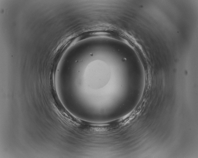 X0000067910154200604131352