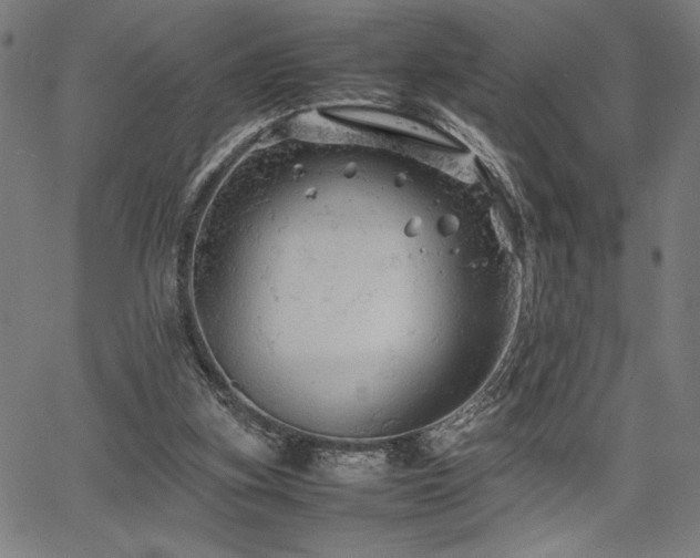 X0000067910155200604131352