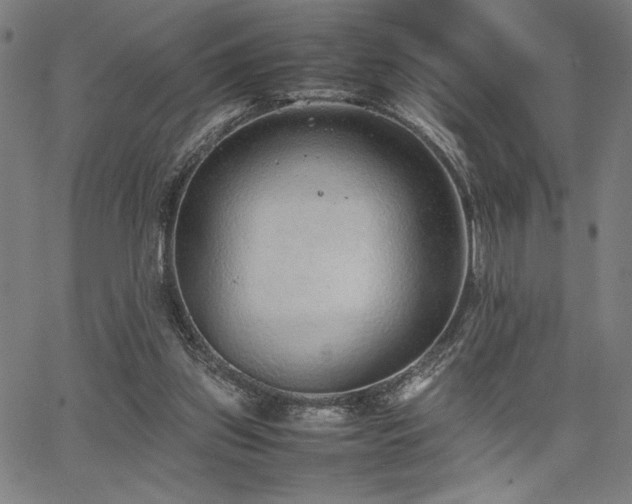 X0000067910157200604131352