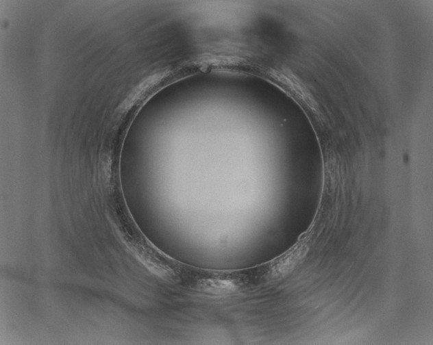 X0000067910159200604131352