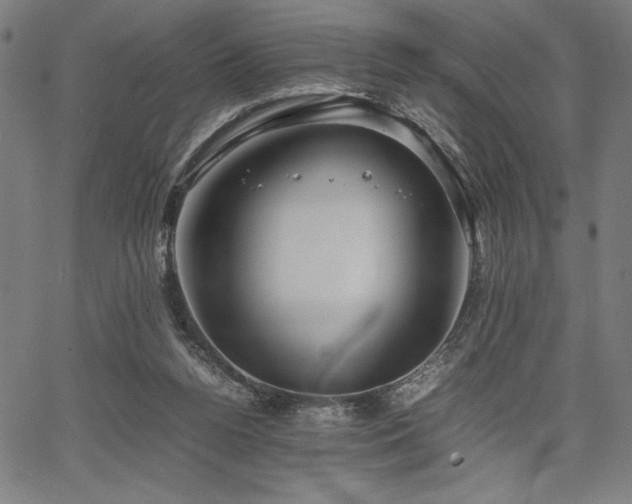 X0000067910160200604131352