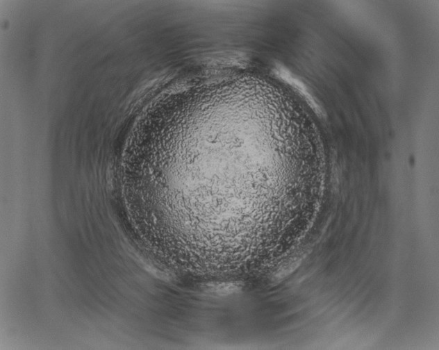 X0000067910161200604131352