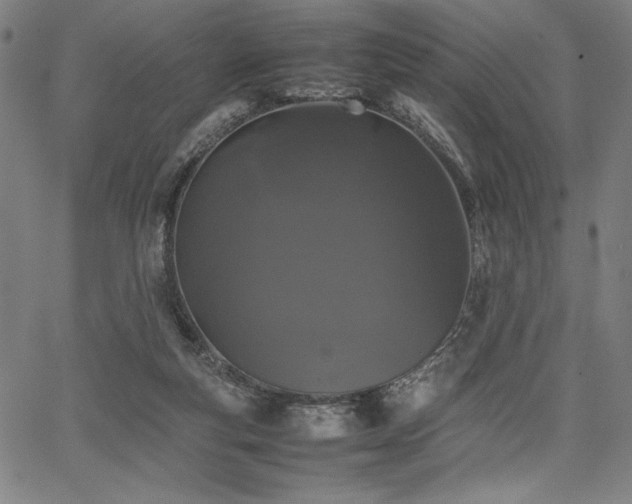 X0000067910163200604131352