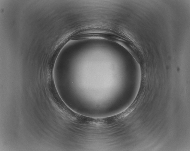 X0000067910164200604131352