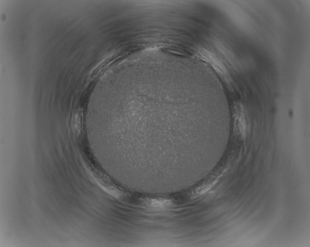 X0000067910165200604131352