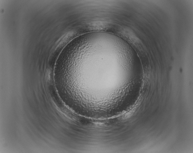 X0000067910166200604131352