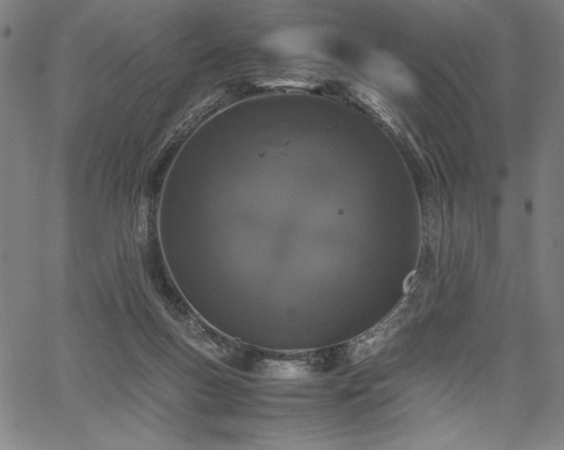 X0000067910167200604131352