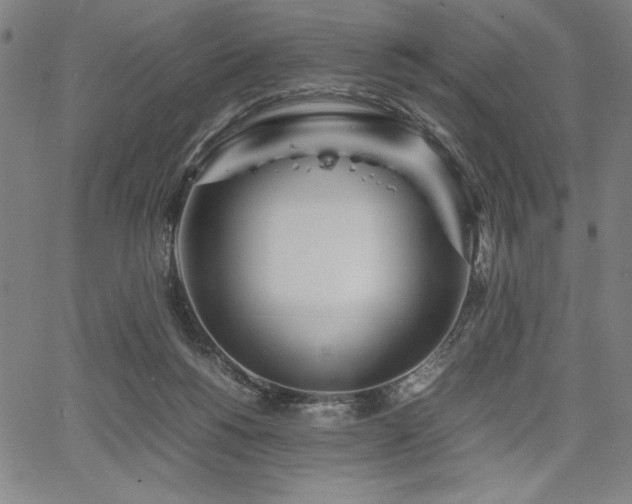 X0000067910168200604131352