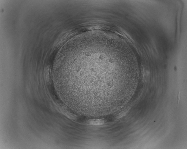 X0000067910169200604131352