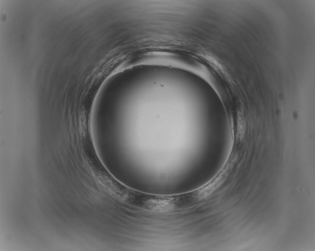 X0000067910170200604131352