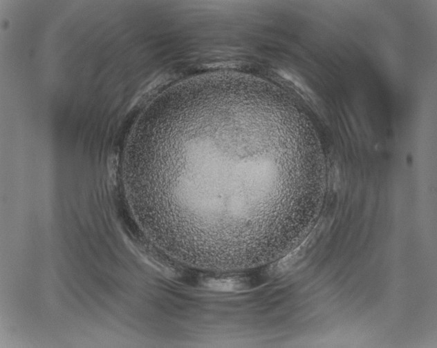 X0000067910171200604131352