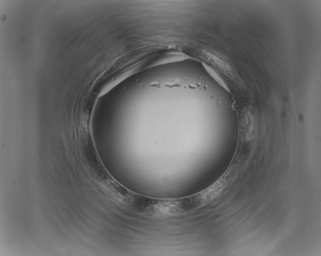 X0000067910172200604131352