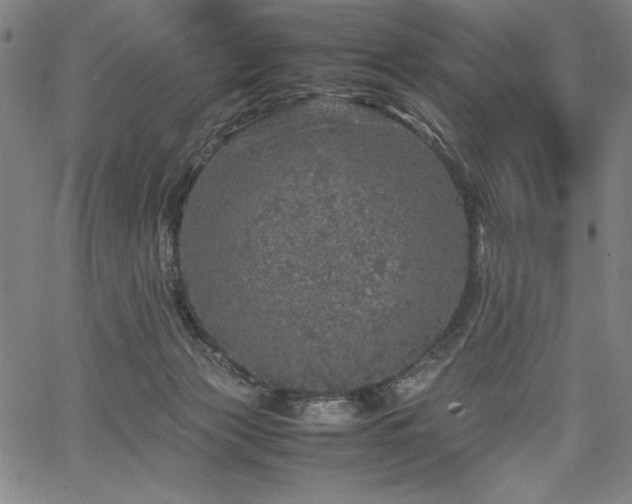 X0000067910173200604131352