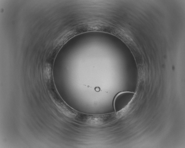 X0000067910174200604131352