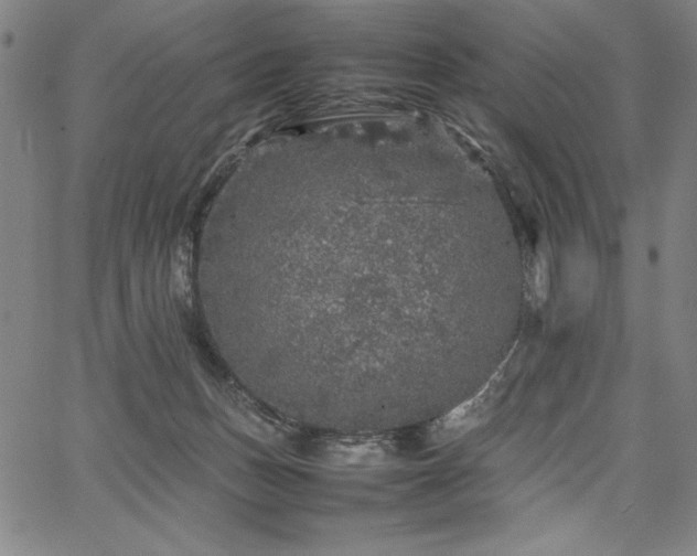 X0000067910175200604131352