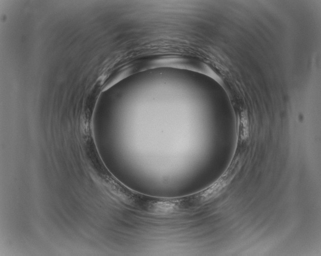 X0000067910176200604131352