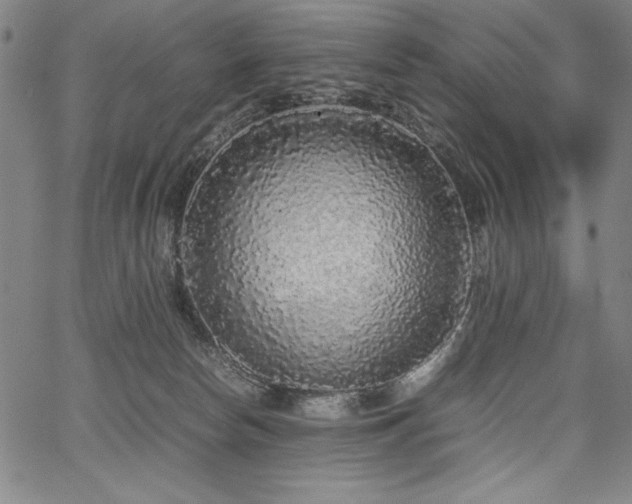 X0000067910178200604131352