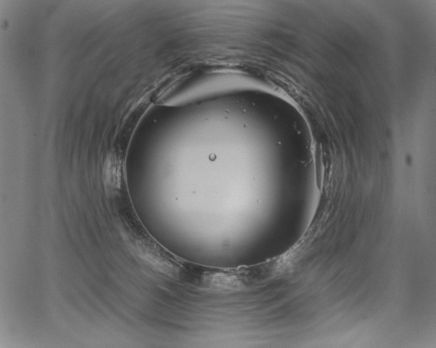 X0000067910180200604131352