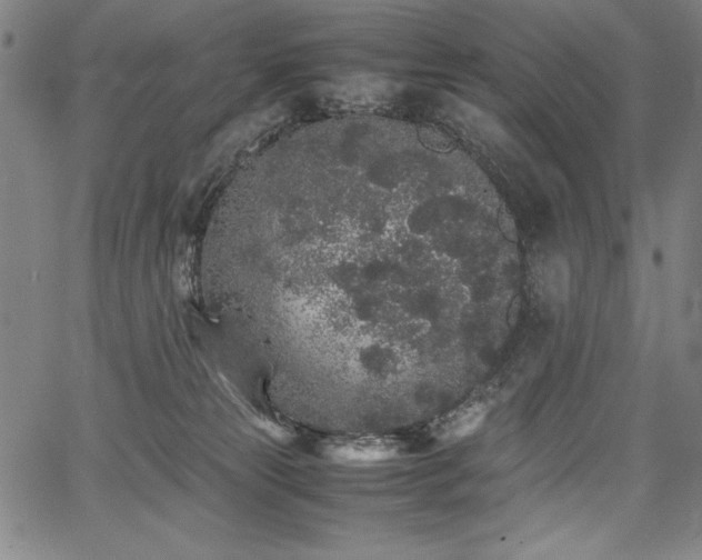 X0000067910181200604131352