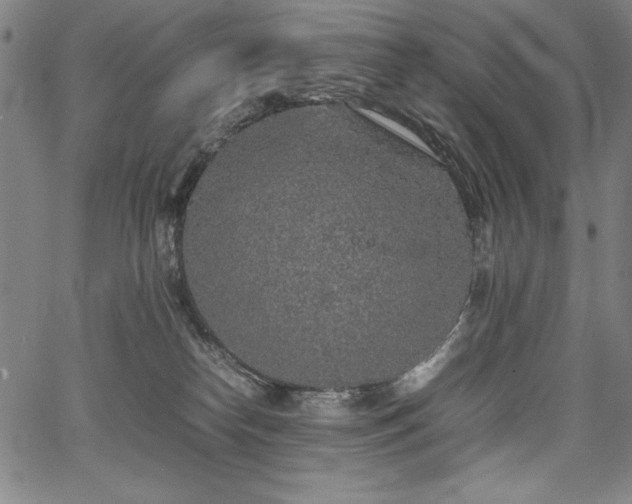 X0000067910182200604131352