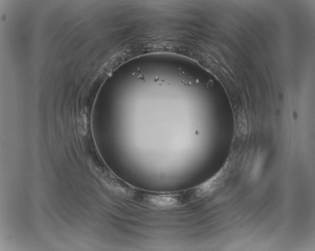 X0000067910183200604131352