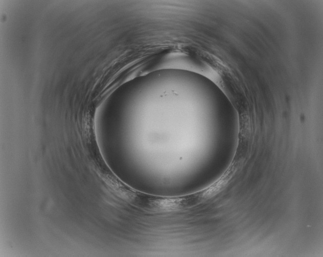 X0000067910184200604131352