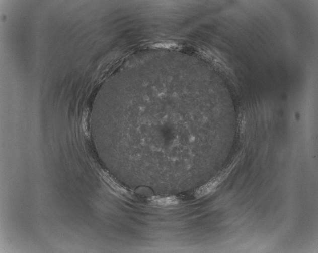 X0000067910185200604131352