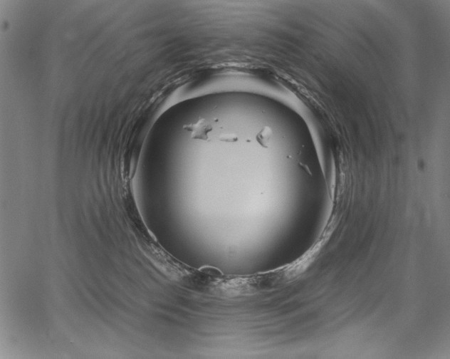 X0000067910186200604131352