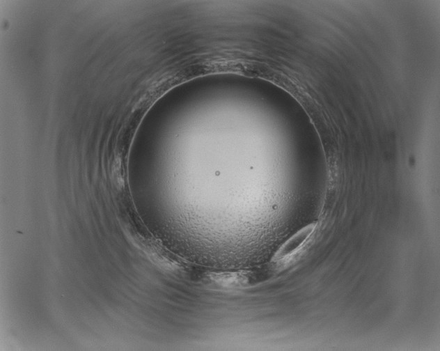 X0000067910187200604131353