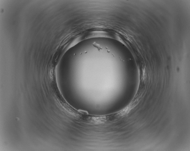 X0000067910188200604131353