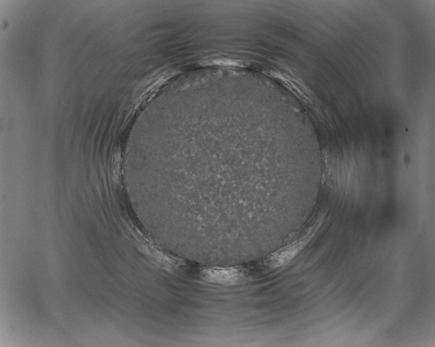 X0000067910189200604131353