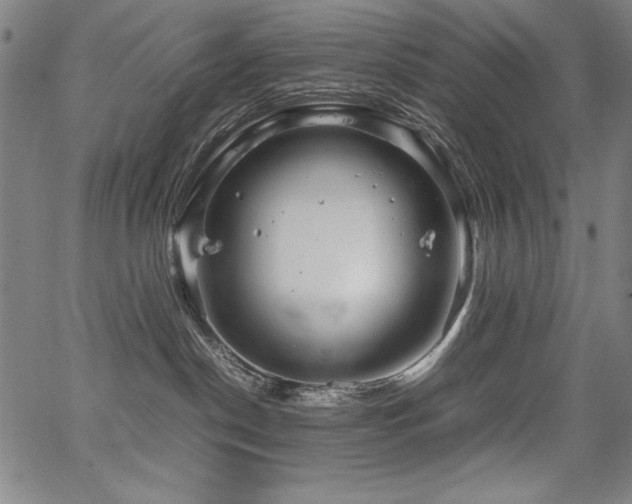 X0000067910190200604131353