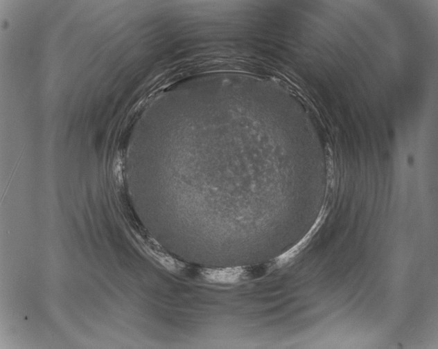 X0000067910191200604131353