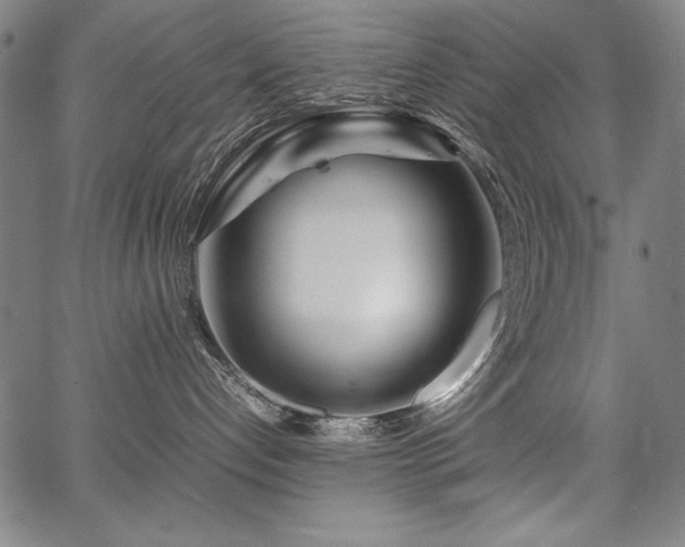 X0000067910192200604131353