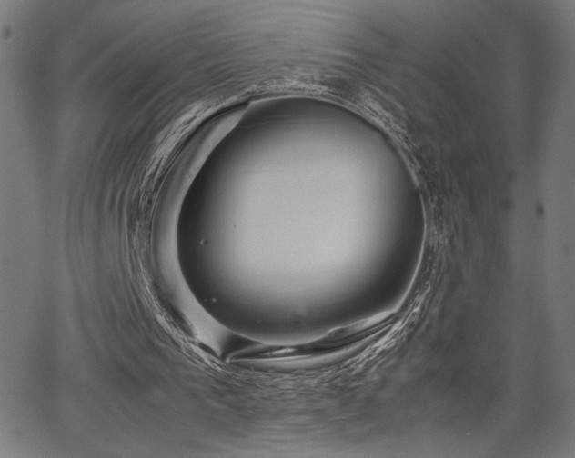 X0000067910193200604131352