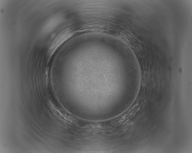 X0000067910194200604131352