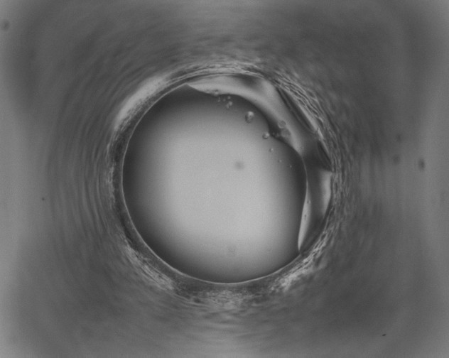 X0000067910197200604131352