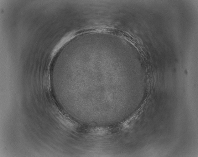 X0000067910198200604131352