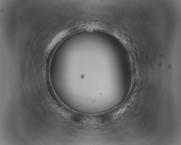 X0000067910199200604131352