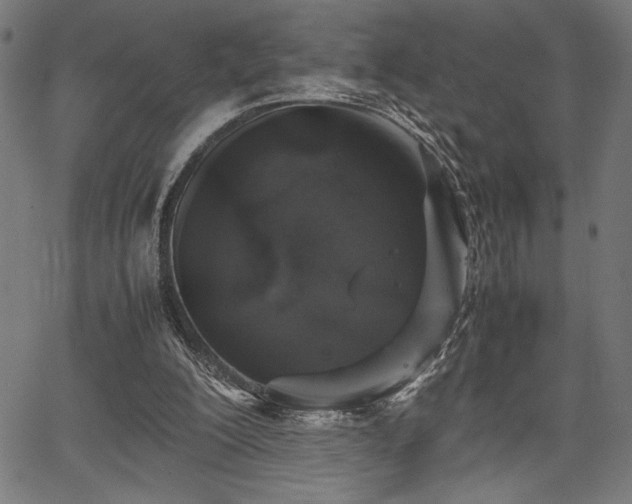 X0000067910200200604131352