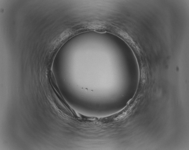 X0000067910201200604131352