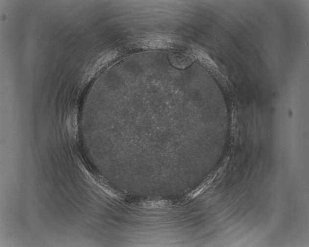 X0000067910202200604131352