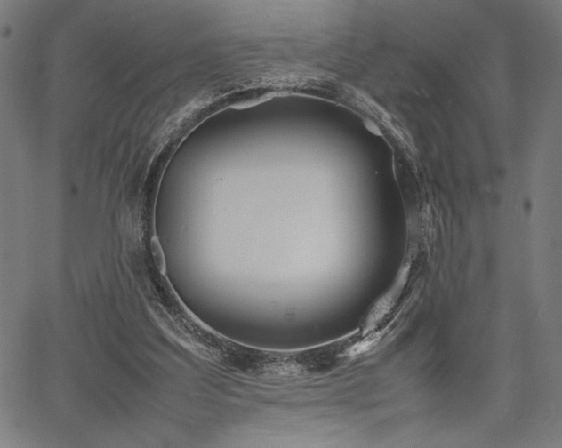 X0000067910203200604131352