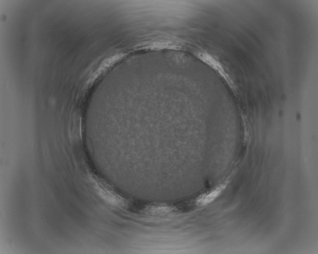 X0000067910205200604131352