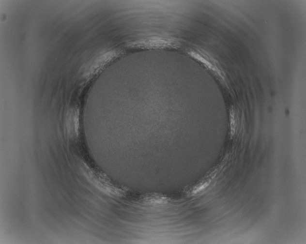 X0000067910206200604131352