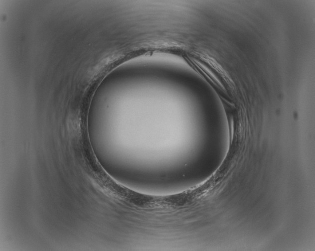 X0000067910207200604131352